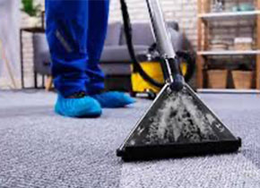 Carpet, Upholstery
                            and Floor Cleaning